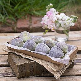 Pearl Abyss大作《红色沙漠》定档2026年3月19日全球发售 首发支持中文配音